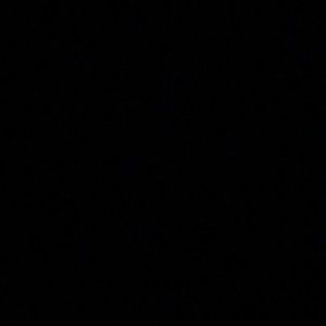 Meet your Posher, Jeneva